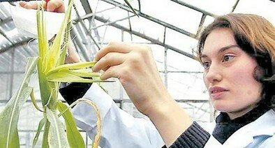 Crece la inversión en biotecnología