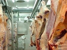 Con ayuda del INTA, un frigorífico recuperado venderá carne al exterior
